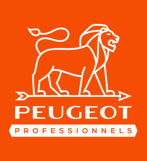 Nace Peugeot Outils Professionnels