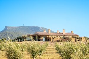 John Taylor pone a la venta dos residencias de lujo en Mallorca